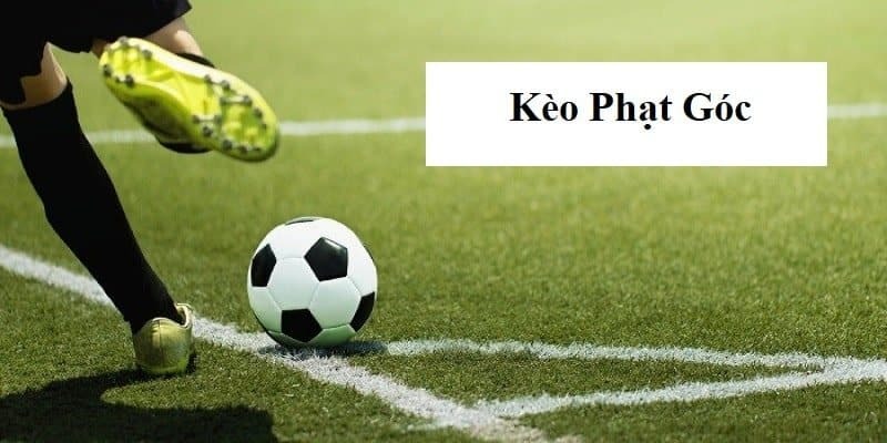 Các thể loại cược phạt góc phổ biến